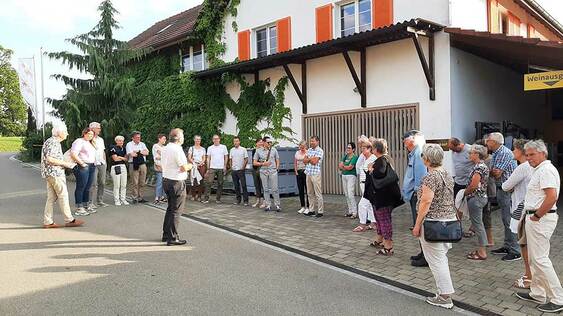 Weingut Lenz - Iseliberg